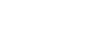 VNN Platform logo